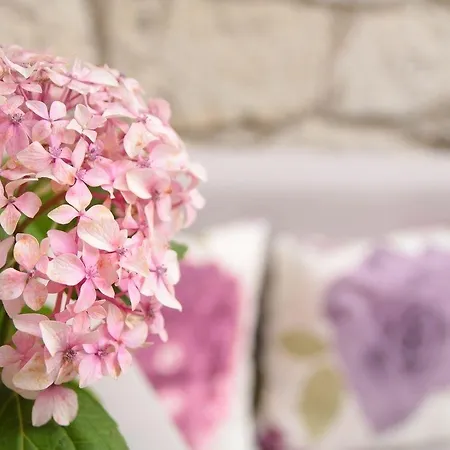 Ξενοδοχείο Cona Αλακάτι