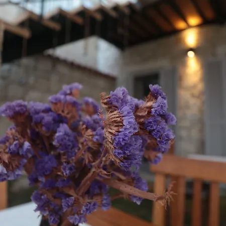 Ξενοδοχείο Cona