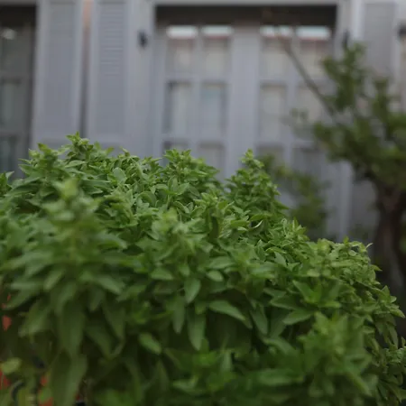 Cona Ξενοδοχείο 2*