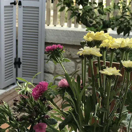 Cona Ξενοδοχείο Αλακάτι