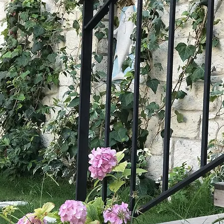 Cona Hotell Alaçatı
