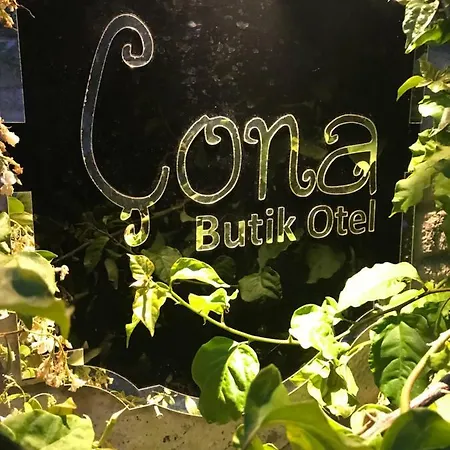 Hotell Cona 2*