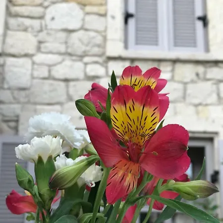 Hotell Cona Alaçatı
