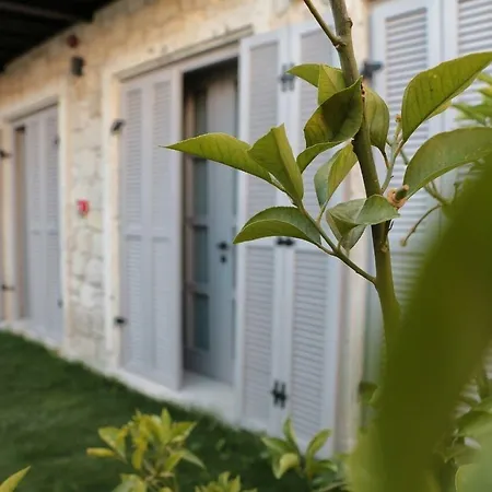 Hotel Cona