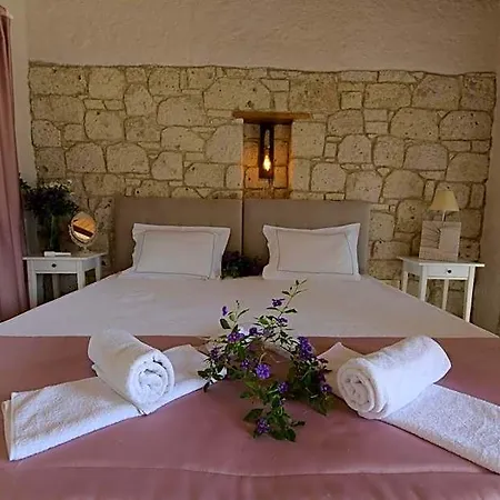 Hotel Cona 2*
